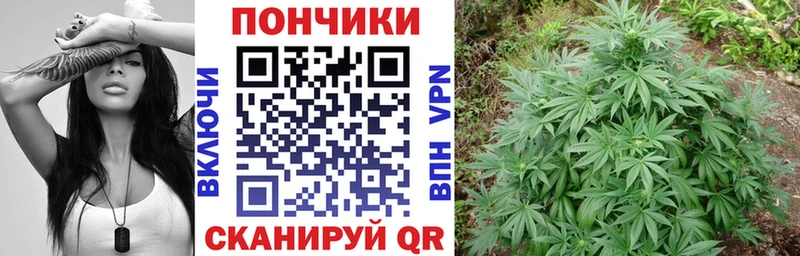 Что такое Губкинский АМФ  Гашиш  Канабис  Псилоцибиновые грибы  A-PVP 