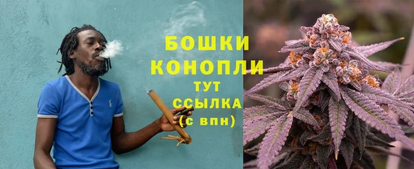 mix Гусиноозёрск